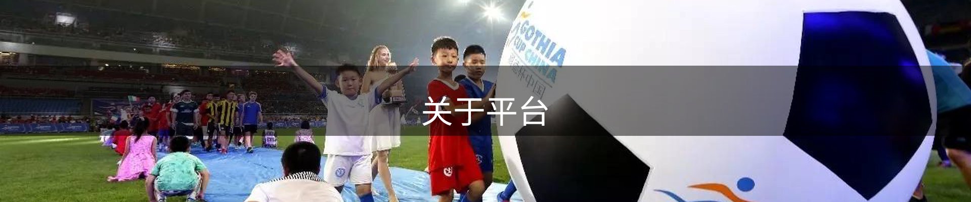 关于平台